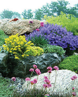 Студия ландшафтного дизайна "Райский сад" - <ro>Изображение</ro><ru>Изображение</ru> #1, <ru>Объявление</ru> #10211