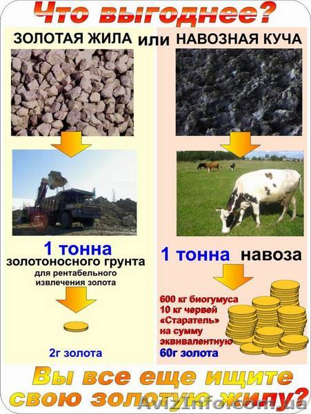  калифорнийский червь,червь старатель,червь для рыбалки,дикий червь,биогумус, - <ro>Изображение</ro><ru>Изображение</ru> #1, <ru>Объявление</ru> #9550