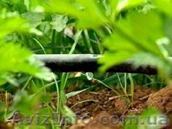 Капельный полив и системы орошения - <ro>Изображение</ro><ru>Изображение</ru> #1, <ru>Объявление</ru> #15843