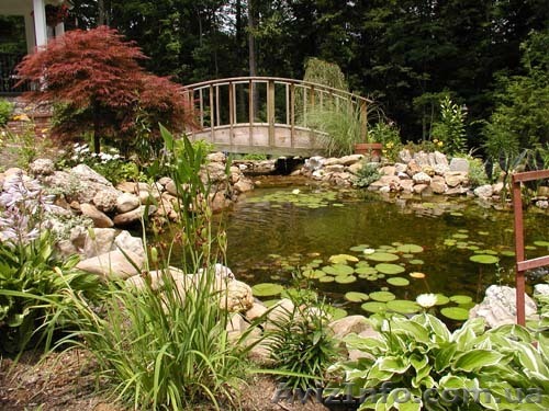 ОЗЕЛЕНЕНИЕ И ЛАНДШАФТНЫЙ ДИЗАЙН - <ro>Изображение</ro><ru>Изображение</ru> #1, <ru>Объявление</ru> #11399