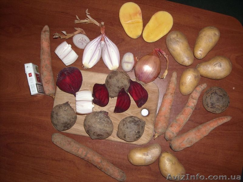 Картошка пекинская  Капуста Лук Морковка Буряк  - <ro>Изображение</ro><ru>Изображение</ru> #1, <ru>Объявление</ru> #18481
