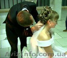 Тамада на  свадьбу,Dj +Дискотека + свет. Донецк.066 647-57-41 - <ro>Изображение</ro><ru>Изображение</ru> #1, <ru>Объявление</ru> #16098