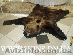 Ковры из шкур медведя волка рыси тигра и др животных - <ro>Изображение</ro><ru>Изображение</ru> #1, <ru>Объявление</ru> #22191