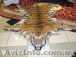 Шкуры для интерьера ковры из шкур покрывала из меха таксидермия - <ro>Изображение</ro><ru>Изображение</ru> #1, <ru>Объявление</ru> #22182