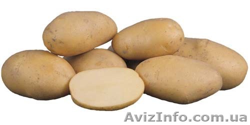 Продам картофель,морковь. и т.д. - <ro>Изображение</ro><ru>Изображение</ru> #1, <ru>Объявление</ru> #52120