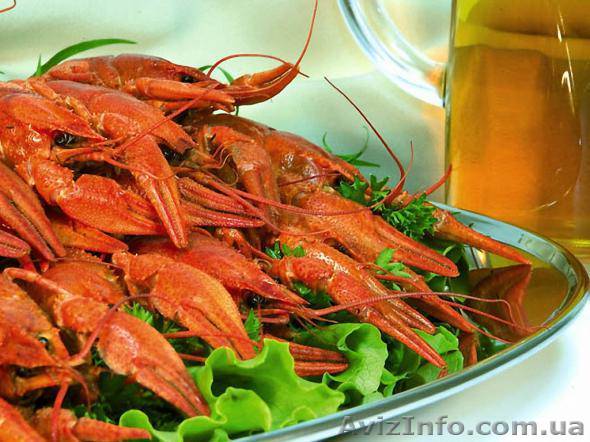 ПРОДАЖА РАКОВ от 15 кг в день. 70 грн за 1 кг. - <ro>Изображение</ro><ru>Изображение</ru> #1, <ru>Объявление</ru> #58443