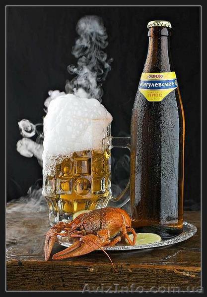 Продам магазин живого пива - <ro>Изображение</ro><ru>Изображение</ru> #1, <ru>Объявление</ru> #69129