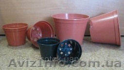 Продам Производственные горшки рассадники оптом, Ø80х60 - <ro>Изображение</ro><ru>Изображение</ru> #1, <ru>Объявление</ru> #117247