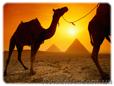 Экскурсии по Египту из Шарм-эль-Шейха - <ro>Изображение</ro><ru>Изображение</ru> #1, <ru>Объявление</ru> #116938
