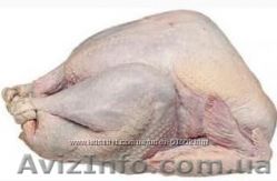 Продам домашнюю индюшатину. - <ro>Изображение</ro><ru>Изображение</ru> #1, <ru>Объявление</ru> #120964
