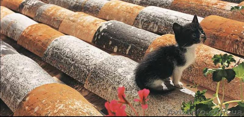 Керамическая черепица Tejas Borja - <ro>Изображение</ro><ru>Изображение</ru> #1, <ru>Объявление</ru> #239574