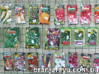 Семена и луковицы - Акция!  - <ro>Изображение</ro><ru>Изображение</ru> #1, <ru>Объявление</ru> #238409