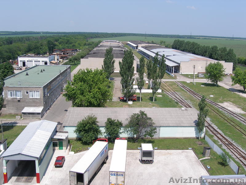 Сдам склады и холодильные камеры от 0 до - 25 °С в Донецкой области - <ro>Изображение</ro><ru>Изображение</ru> #1, <ru>Объявление</ru> #288636