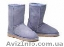 UGGS Угги Koalabi shoes-art.com  Интернет магазин обуви  - <ro>Изображение</ro><ru>Изображение</ru> #1, <ru>Объявление</ru> #326371
