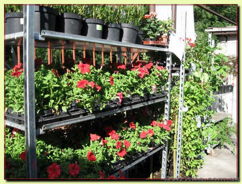 Цветочные стелажи - <ro>Изображение</ro><ru>Изображение</ru> #1, <ru>Объявление</ru> #315761