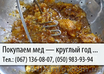 Покупаем мед по Украине – (067) 136-08-07 – (050) 983-93-94 - <ro>Изображение</ro><ru>Изображение</ru> #1, <ru>Объявление</ru> #478832