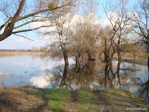 участок Святогорье, слияние С.Донцо и Кр.Оскол - <ro>Изображение</ro><ru>Изображение</ru> #1, <ru>Объявление</ru> #300216