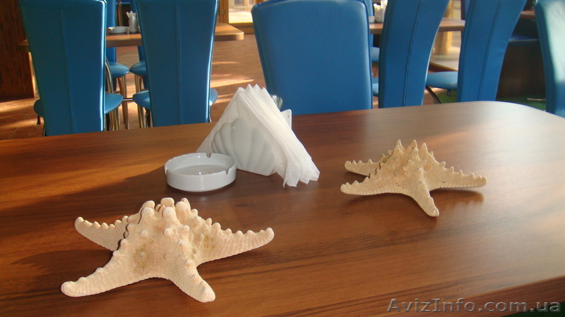 Продам готовый бизнес кафе в центре Донецка, в остановке от Донбасс-Арены   - <ro>Изображение</ro><ru>Изображение</ru> #1, <ru>Объявление</ru> #579363