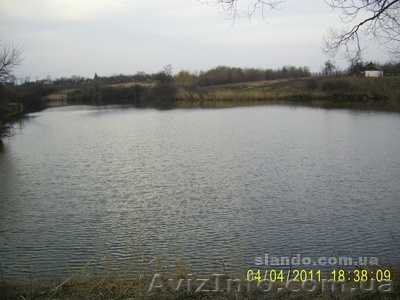 Зарыбленный ставок - <ro>Изображение</ro><ru>Изображение</ru> #1, <ru>Объявление</ru> #616406