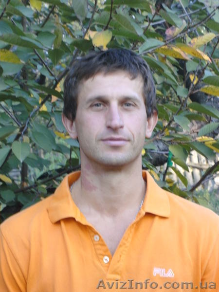 Обрезка деревьев в Донецке - <ro>Изображение</ro><ru>Изображение</ru> #1, <ru>Объявление</ru> #673029