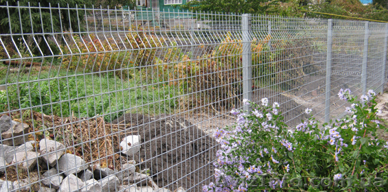 Панельные системы ограждения из сварной сетки. - <ro>Изображение</ro><ru>Изображение</ru> #1, <ru>Объявление</ru> #743206