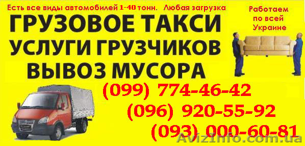 ГРУЗОПЕРЕВОЗКИ Животных Макеевка. Перевозка животные в клетках в Макеевке - <ro>Изображение</ro><ru>Изображение</ru> #1, <ru>Объявление</ru> #779554