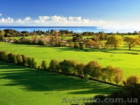 17соток-завод  Норд-недорого-срочно. - <ro>Изображение</ro><ru>Изображение</ru> #1, <ru>Объявление</ru> #807390