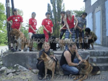 Учебный центр набирает молодежь на специальность "Инструктор-кинолог". - <ro>Изображение</ro><ru>Изображение</ru> #1, <ru>Объявление</ru> #911615