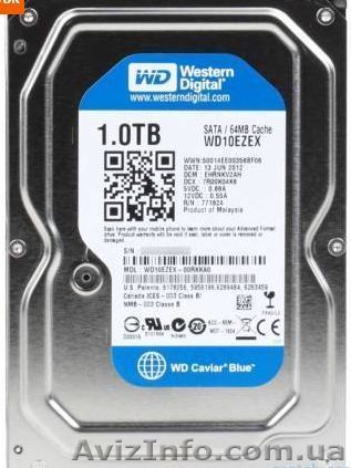 продам срочно, Жесткий диск 1 ТБ Western Digital Caviar Blue - <ro>Изображение</ro><ru>Изображение</ru> #1, <ru>Объявление</ru> #961655