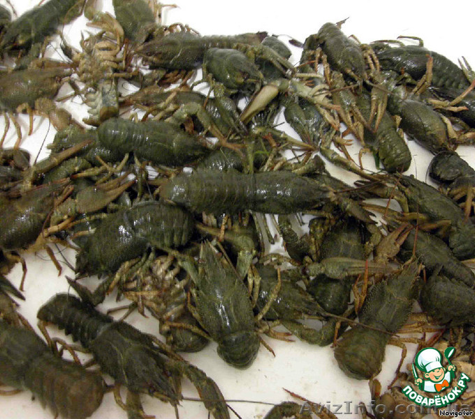 Живые раки и свежая рыба - <ro>Изображение</ro><ru>Изображение</ru> #1, <ru>Объявление</ru> #967467