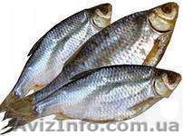 Продам рабу азовскую вяленую - <ro>Изображение</ro><ru>Изображение</ru> #1, <ru>Объявление</ru> #963419