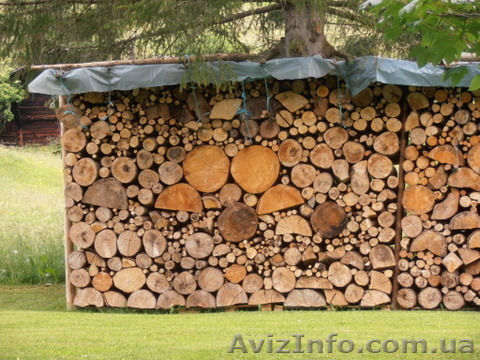 Дрова по Донецку - <ro>Изображение</ro><ru>Изображение</ru> #1, <ru>Объявление</ru> #988071