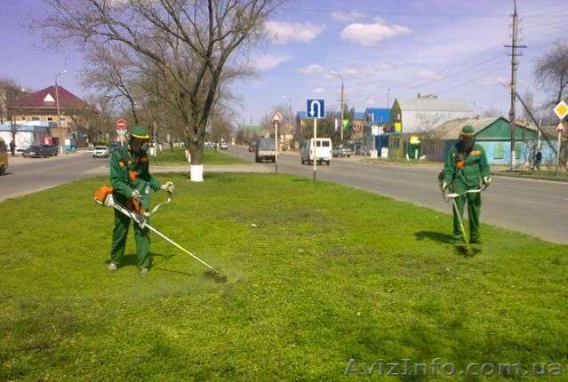 скосим покосим траву амброзию - <ro>Изображение</ro><ru>Изображение</ru> #1, <ru>Объявление</ru> #1092789