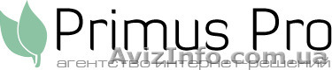 Агентство интернет-решений Primus Pro - <ro>Изображение</ro><ru>Изображение</ru> #1, <ru>Объявление</ru> #1105806