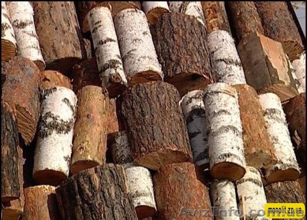 Дрова Любые Доставка Бесплатная - <ro>Изображение</ro><ru>Изображение</ru> #1, <ru>Объявление</ru> #1148127