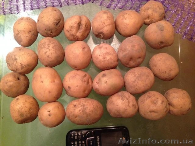 Продам посадочную Ривьеру из песка, хорошая цена - <ro>Изображение</ro><ru>Изображение</ru> #1, <ru>Объявление</ru> #1168015
