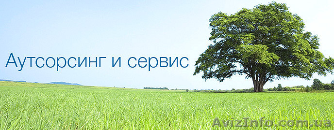 Грамотный аутсорсинг бухгалтерского учёта  - <ro>Изображение</ro><ru>Изображение</ru> #1, <ru>Объявление</ru> #1511192