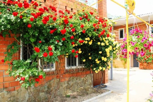 Требуются сотрудники в частный мини-пансионат - <ro>Изображение</ro><ru>Изображение</ru> #1, <ru>Объявление</ru> #1677393