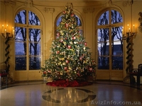 Доставка и установка новогодних елок - <ro>Изображение</ro><ru>Изображение</ru> #3, <ru>Объявление</ru> #2192