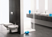 Ванны. Компакты. Тюльпаны. Биде. Мебель. Санфаянс. - <ro>Изображение</ro><ru>Изображение</ru> #2, <ru>Объявление</ru> #4128