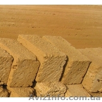 РАКУШЕЧНИК  М25 М35 - <ro>Изображение</ro><ru>Изображение</ru> #1, <ru>Объявление</ru> #9935