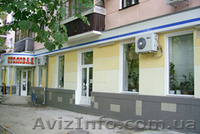 Продам готовый бизнес в Феодосии - <ro>Изображение</ro><ru>Изображение</ru> #2, <ru>Объявление</ru> #11348