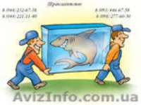 Грузчики в Донецке - <ro>Изображение</ro><ru>Изображение</ru> #2, <ru>Объявление</ru> #12112