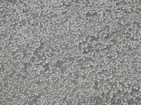 полистиролбетон - <ro>Изображение</ro><ru>Изображение</ru> #1, <ru>Объявление</ru> #14671