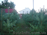Сдам дом Святогорск - <ro>Изображение</ro><ru>Изображение</ru> #3, <ru>Объявление</ru> #78634