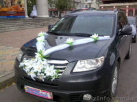 Свадебное авто в аренду - <ro>Изображение</ro><ru>Изображение</ru> #1, <ru>Объявление</ru> #88086