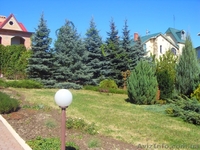 Дом в Урзуфе - <ro>Изображение</ro><ru>Изображение</ru> #2, <ru>Объявление</ru> #2122