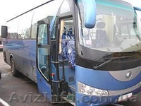 Пассажирские перевозки по Украине и СНГ - <ro>Изображение</ro><ru>Изображение</ru> #1, <ru>Объявление</ru> #91296