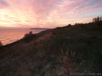 bozz2006@mail.ru - <ro>Изображение</ro><ru>Изображение</ru> #4, <ru>Объявление</ru> #106471