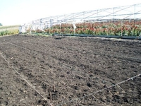 Продам фермерское хозяйство.  - <ro>Изображение</ro><ru>Изображение</ru> #4, <ru>Объявление</ru> #108315